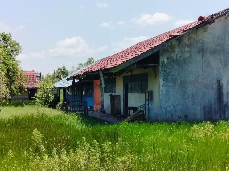 BERTAHAN: SDN Bahandang 2 masih digunakan untuk kegiatan belajar dan mengajar, ada dua orang guru dan delapan orang siswa dari kelas 2, 3, 4 dan 6 (FOTO: MAULANA/RADAR BANJARMASIN)