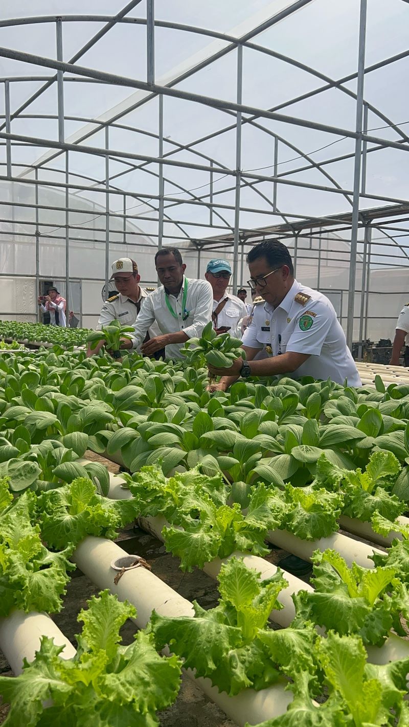 TANAM. Akmal Malik meminta agar siswa bisa aktif menanam sayur dan buah sebagai pemenuhan komoditas pasar.