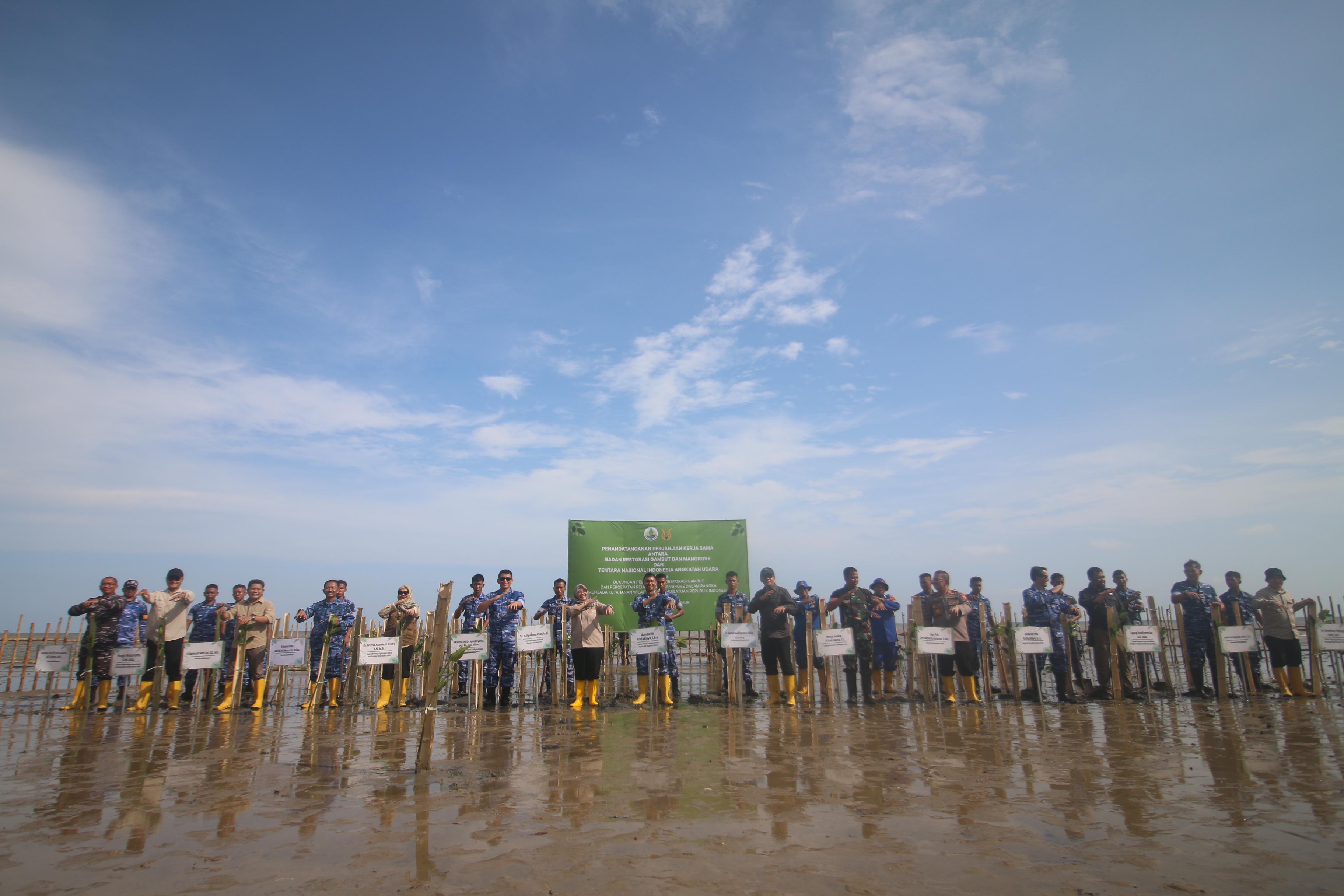 Aspotdirga Kasau, Marsekal Muda TNI Andi Wijaya, Sekretaris BRGM RI, Ayu Dewi Utari, beserta tamu undangan melakukan penanaman mangrove bersama di Pantai Satrad Lanud Dhomber Balikpapan, Sabtu (2/3).