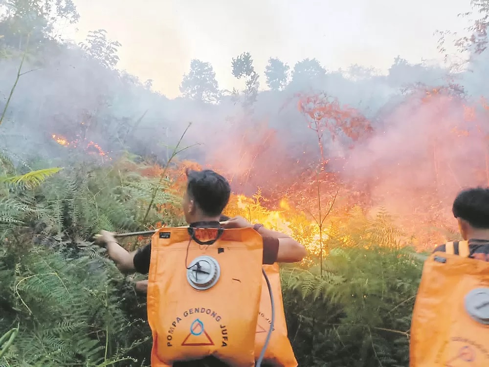 KEJADIAN KARHUTLA: Karhutla yang terjadi sepanjang Januari hingga Februari sudah membakar 21,55 hektar hutan dan lahan. FOTO: DOK RADAR TARAKAN
