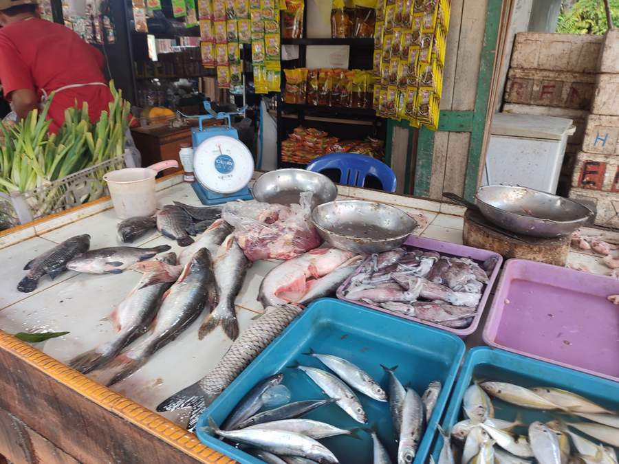 BERLIMPAH: Hasil perikanan di Paser masih melimpah dan surplus, mampu dikirim ke IKN tahun ini.