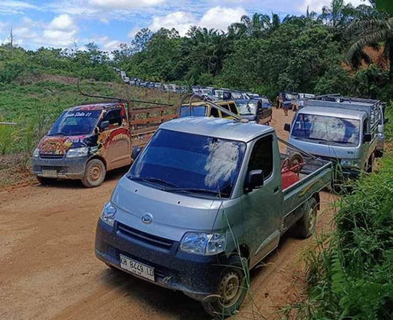 PANEN MASSAL: Ratusan pikap dilibatkan dalam panen massa di lahan perkebunan di Kecamatan Mentaya Hulu. (Istimewa)