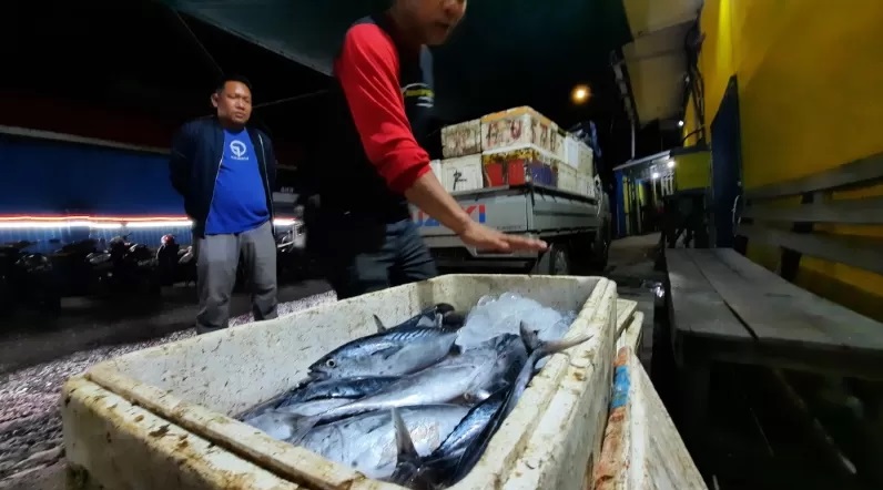 CUKUP: Stok ikan beku di Pelabuhan Banjar Raya. (FOTO: ENDANG SYARIFUDDIN/RADAR BANJARMASIN)