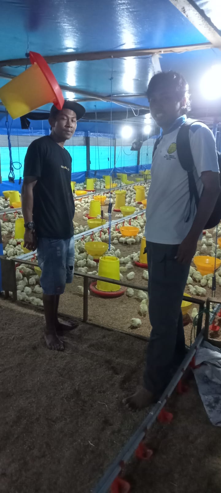 DATA: Petugas Distan PPU (kanan) melakukan pendataan peternakan ayam petelur dan potong di Babulu.(ist)