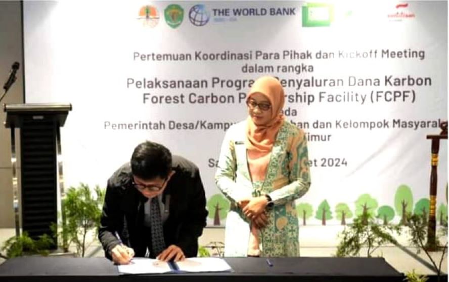 Tahun 2024 akan menjadi tahun pertama penyaluran dana dari Program Forest Carbon Partnership Facility Carbon Fund (FCPF CF) di Kalimantan Timur (Kaltim)
