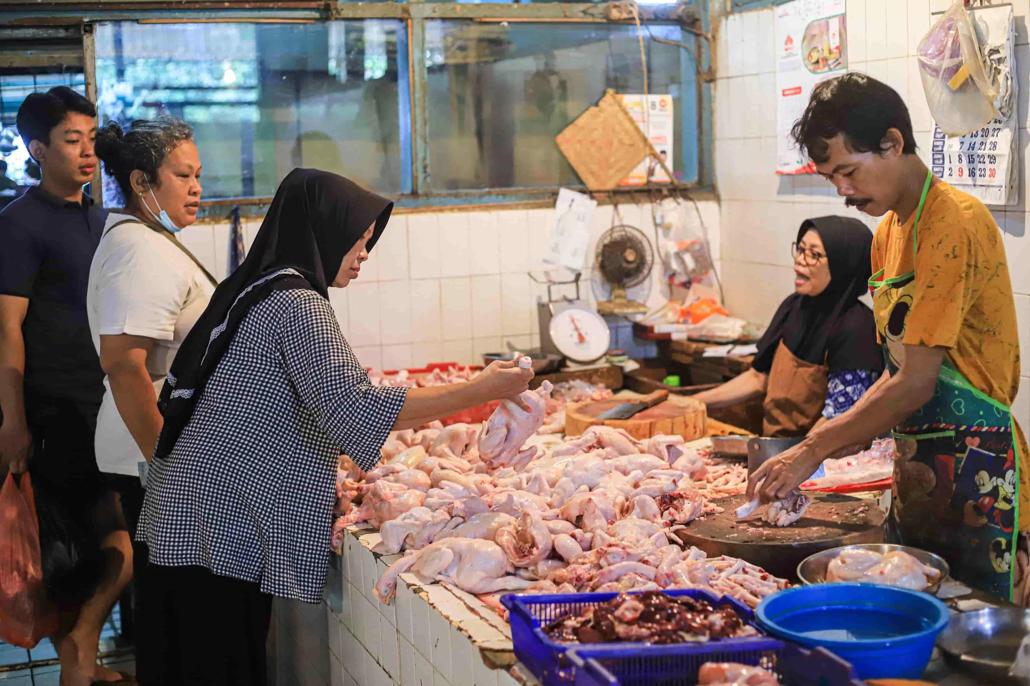 LAUK-PAUK: Meski memiliki harga yang cukup tinggi, permintaan ayam ras selalu tinggi setiap bulannya. (DOK/KP)