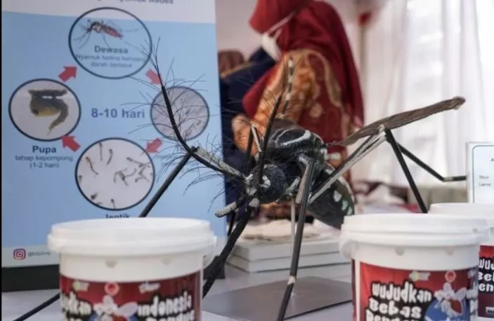 Ilustrasi replika nyamuk Aedes Aeygepti penyebab dengue. (Kemenkes/Antara)