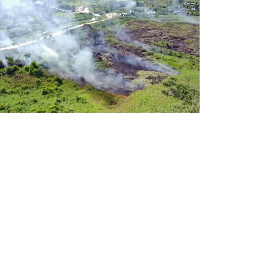 PANAS. Petugas berupaya memadamkan api yang membakar lahan di Jalan Lempake Tepian, RT 01, Kelurahan Gunung Lingai, Kecamatan Sungai Pinang. (kis)