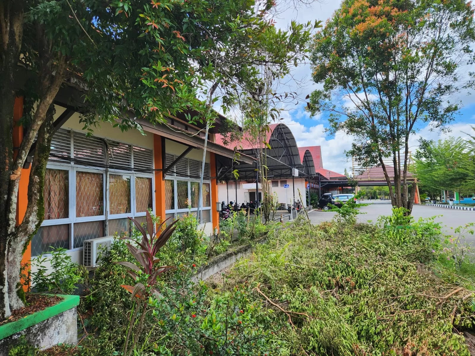 Pohon ditebang di kampus.