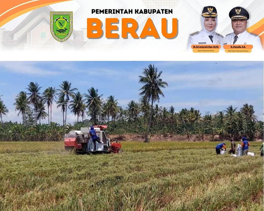 TINGKATKAN PRODUKSI: DPUPR Berau terus meningkatkan sejumlah saluran irigasi di beberapa wilayah untuk sektor pertanian.