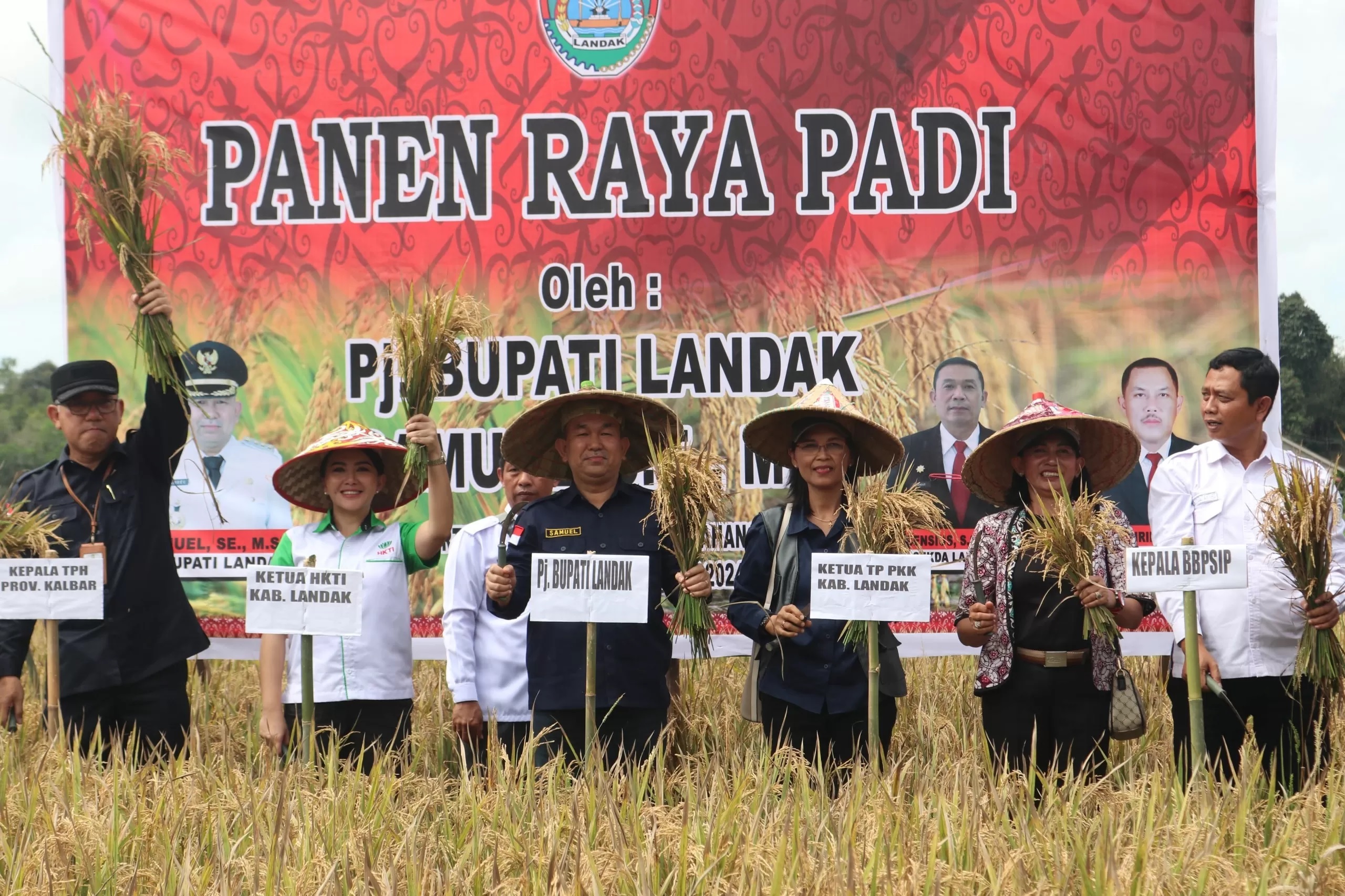 Pj Bupati Landak Samuel saat menghadiri panen raya padi di Desa Semonok Kecamatan Mandor, beberapa waktu lalu. (IST)