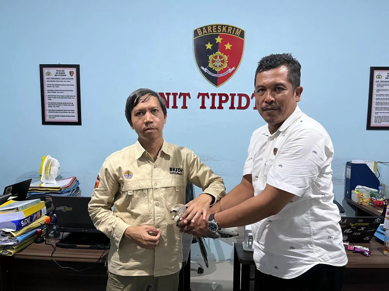 SATWA DILINDUNGI: Unit Tipiter Satreskrim Polres Hulu Sungai Utara (HSU) menyerahkan satwa yang dilindungi undang-undang ke Balai Konservasi Sumber Daya Alam (BKSDA). (M. Akbar/Radar Banjarmasin)