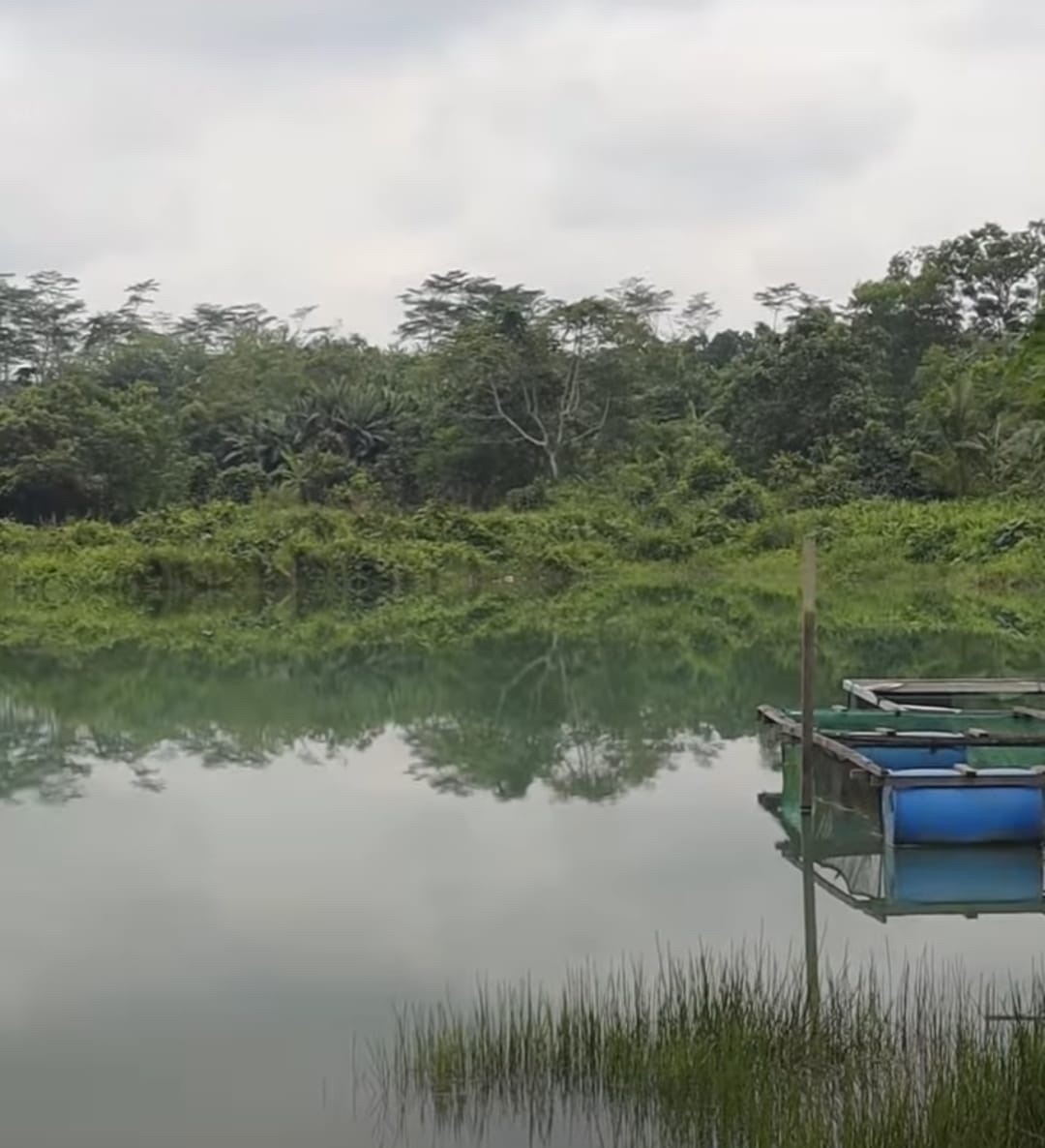 JANGAN ABAI: Berada di pinggir jalan setapak, akses ke lokasi sangat mudah dijangkau. Tak ada plang atau pagar penutup area yang merupakan bekas lubang tambang tersebut.