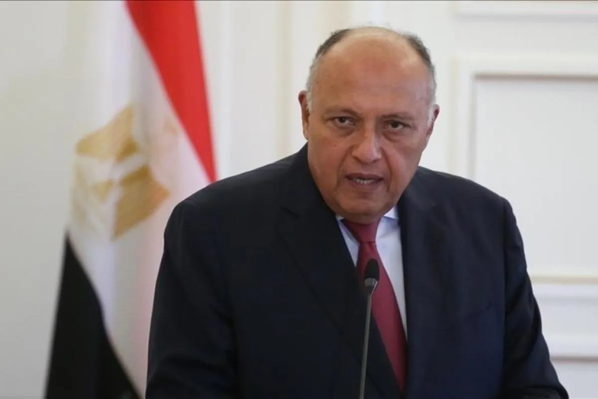 Menteri Luar Negeri Mesir Sameh Shoukry. (ANTARA/Anadolu)
