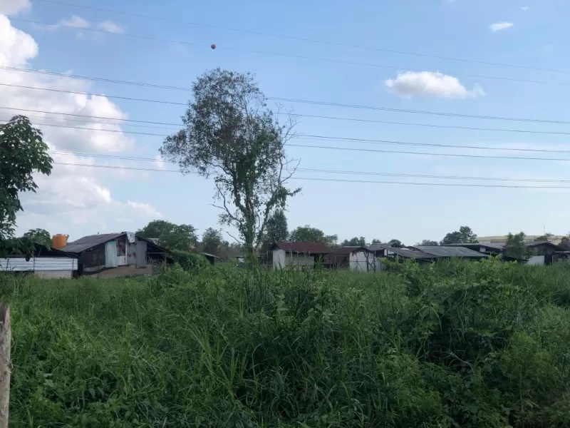 BAU: Bangunan Kandang Babi yang berdekatan dengan kampus UIN Antasari di Guntung Manggis menimbulkan aroma tak sedap. (FOTO: SHEILA FARAZELA/RADAR BANJARMASIN)