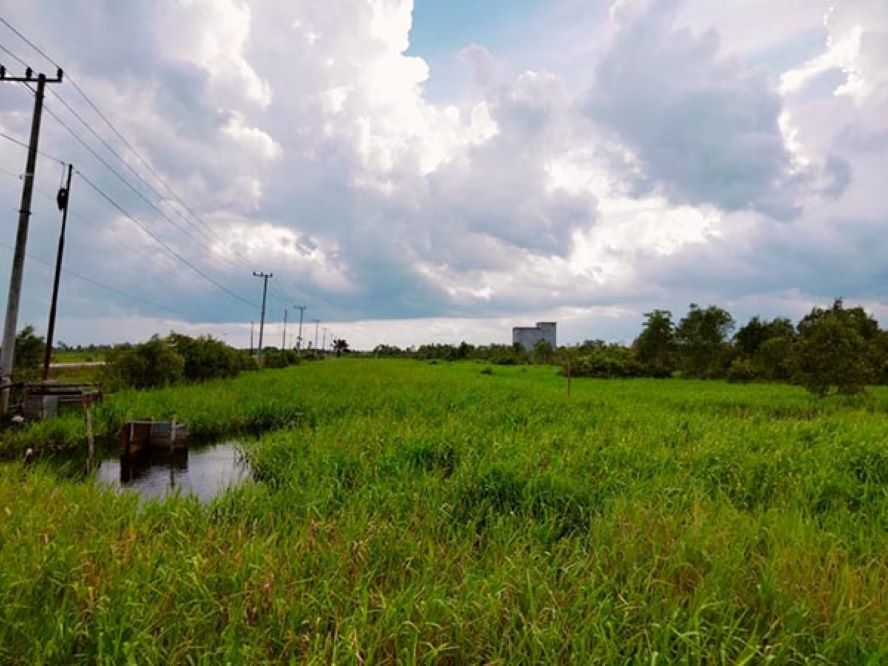TAK TERAWAT: Kondisi saluran primer di Jalan Ahmad Shaleh ruas Pangkalan Bun menuju Kotawaringin Lama, Jumat (10/5/2024). (Tyo/RADAR PANGKALAN BUN)