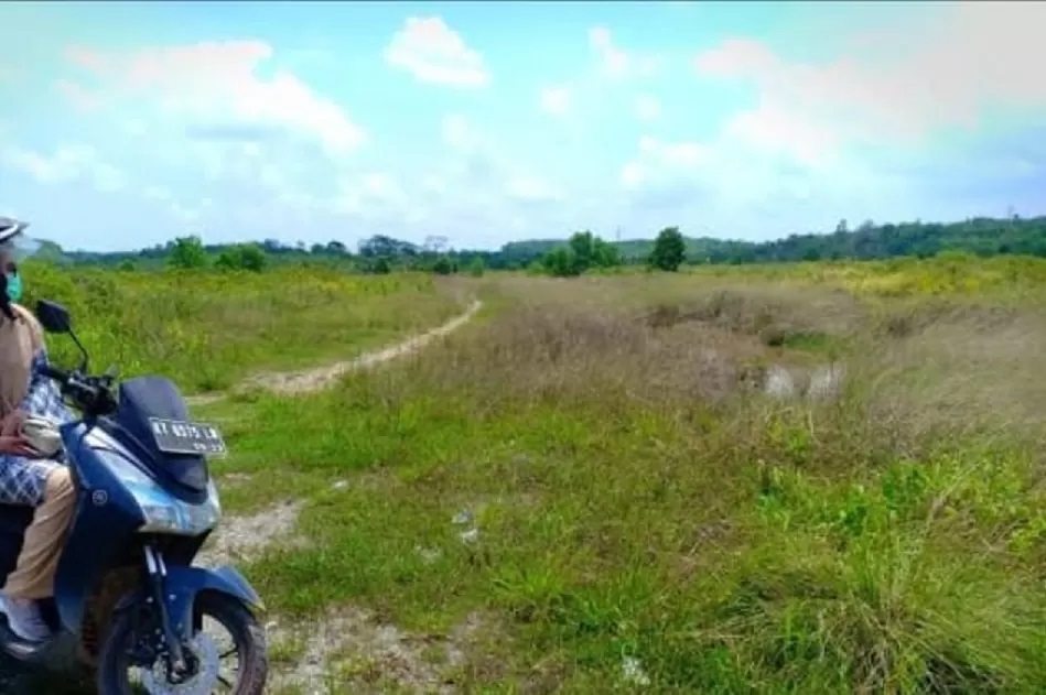 Lokasi lahan rencana pembangunan sirkuit di Kel Lamaru, Balikpapan Timur (Baltim), yang kondisinya tengah mangkrak ini diusulkan untuk dibangun fasilitas kesehatan termasuk rumah sakit. DAYAT/BALPOS