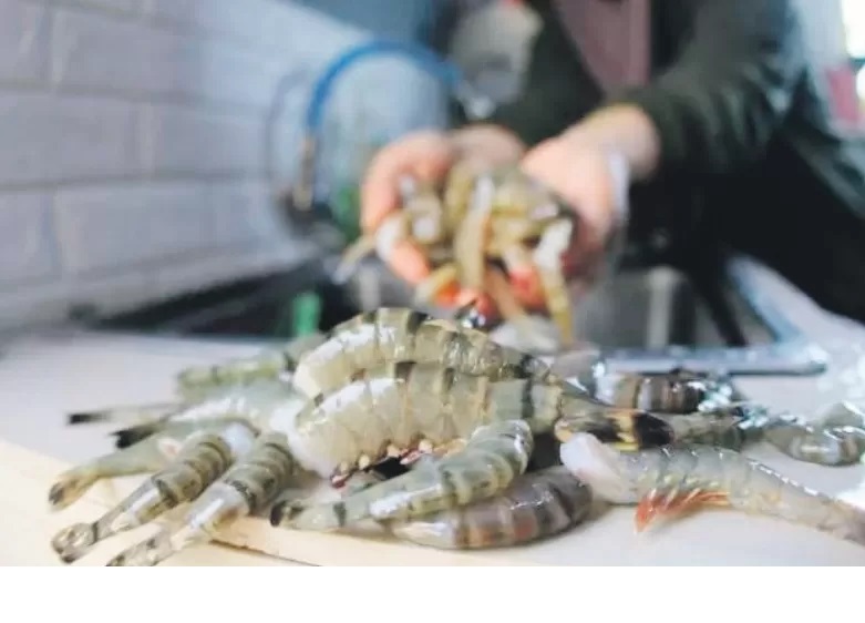 Salah satu komoditas utama Kaltara di bidang perikanan.