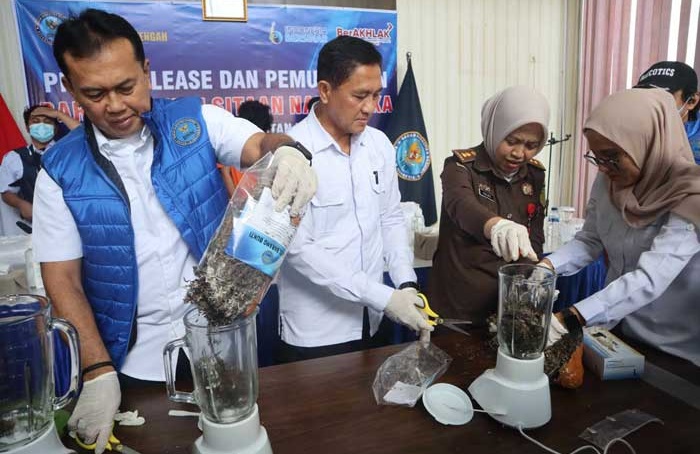 DIMUSNAHKAN : Badan Narkotika Nasional (BNN) Provinsi Kalimantan Tengah memusnahkan barang bukti ganja yang disita dari dua mahasiswa Kota Palangka Raya. (DODI/RADAR PALANGKA)