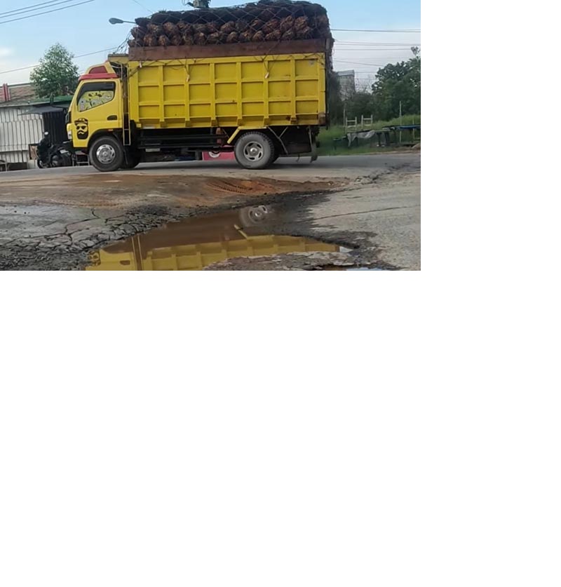 CARI AMAN: Truk bermuatan buah kelapa sawit terpantau melawan arus di jalan arah jembatan Sungai Arut, Kelurahan Baru, Kecamatan Arsel, Kabupaten Kobar, belum lama tadi.