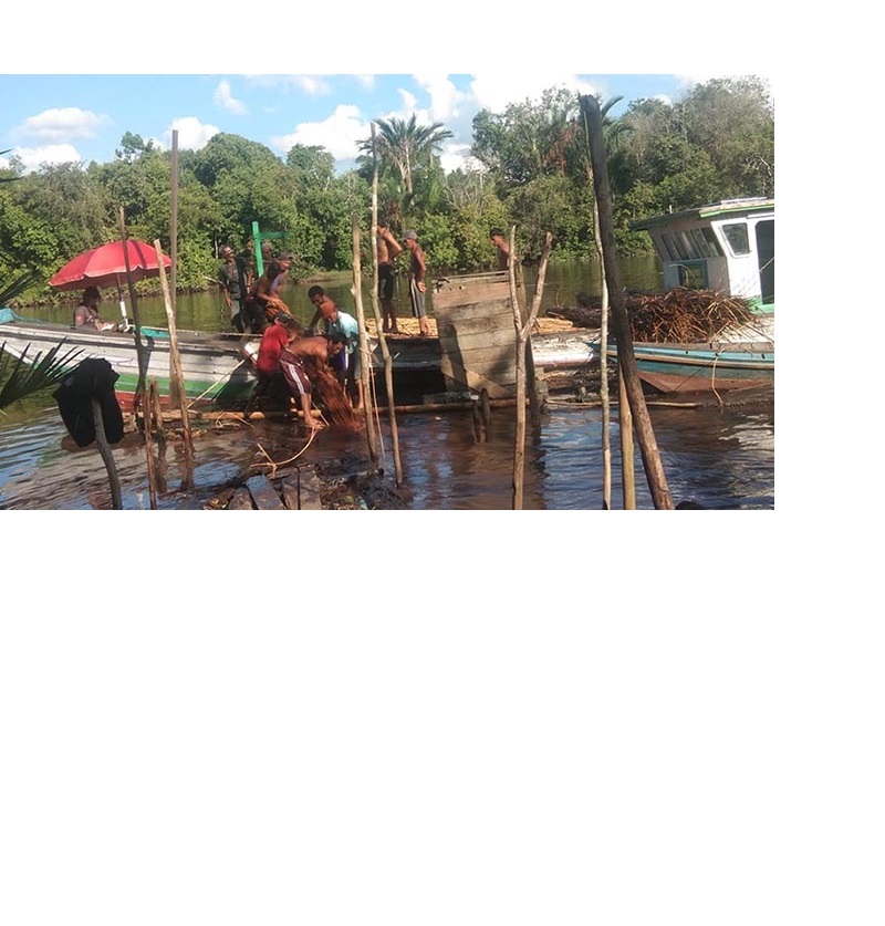 TAK KUNJUNG MEMBAIK: Sejumlah warga di Kabupaten Kotawaringin Timur (Kotim) masih menggantungkan hidupnya pada komoditas rotan, meski harganya tak kunjung membaik.