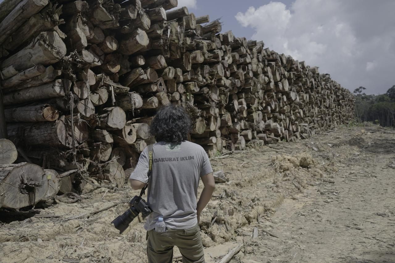 Kayu hasil hutan di Kalbar.