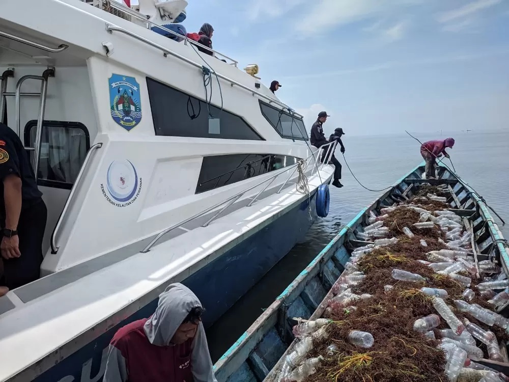BUTUH PERHATIAN: Komoditas utama perikanan Kaltara masih membutuhkan perhatian, utamanya dari sisi pasar. FOTO: RADAR TARAKAN