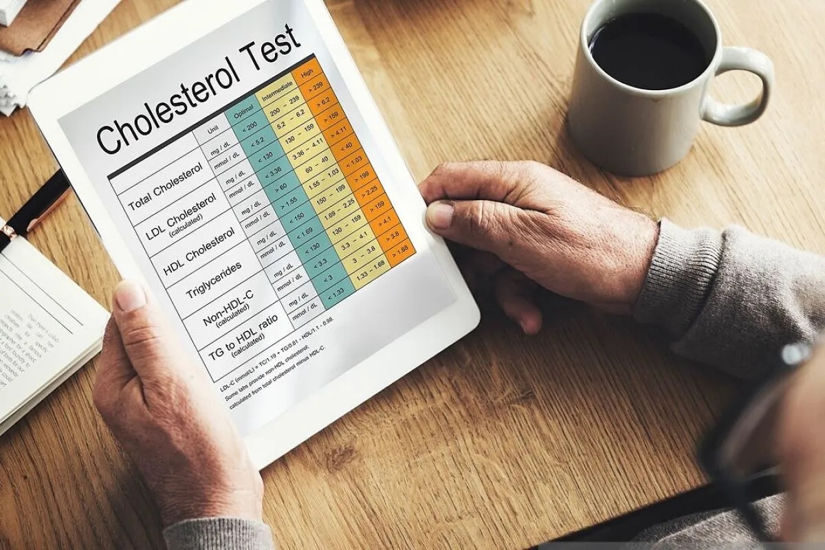 ilustrasi kolesterol