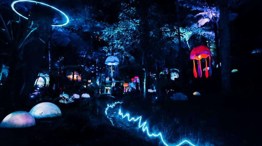PENGALAMAN BERBEDA: Hutan Mycelia menjadi salah satu tempat di Kabupaten Bandung yang ramai dikunjungi. Berpelesiran di malam hari di hutan dengan pepohonan, bebatuan, animasi, lampu warna-warni.