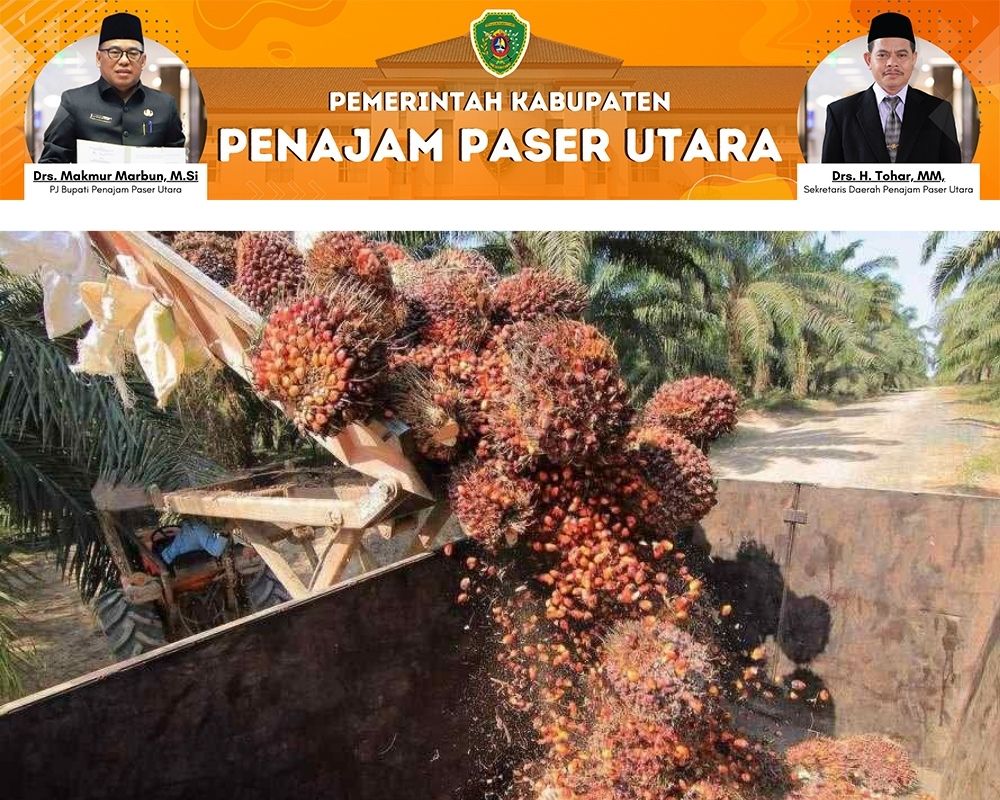 ilustrasi sawit