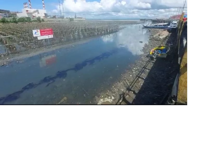 PENCEMARAN LINGKUNGAN: Limbah minyak yang mengalir di kawasan Mangrove Margasari, Balikpapan, Jumat (24/5/2024) lalu. IST.