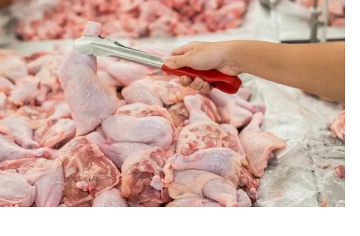 ilustrasi daging ayam ras