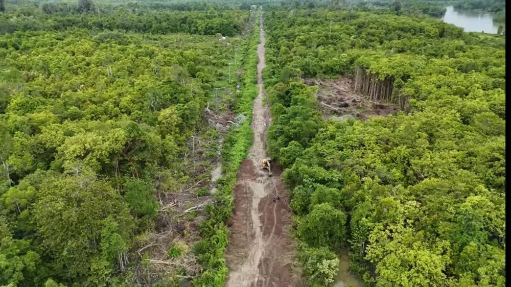 PERLU PERBAIKAN: Tampak akses jalan Sepunggur Desa Tanjung Buka, Tanjung Palas Tengah.