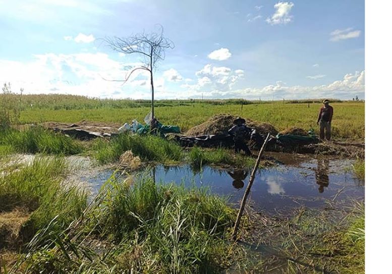 SAWAH: Kondisi kawasan pertanian padi di Pematang Rembang, Kelurahan Kuala Pembuang I, Kecamatan Seruyan Hilir, Kabupaten Seruyan. (Rifani Dewantara/Radar Sampit)