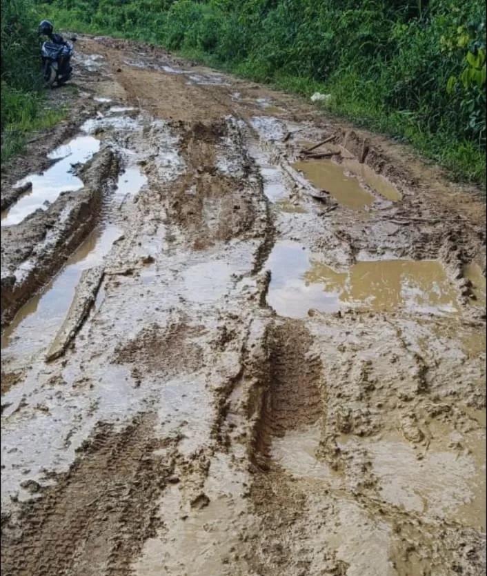 PERLU PERBAIKAN: Kondisi jalan yang ada di Desa Landau Mentail Kecamatan Boyan Tanjung.