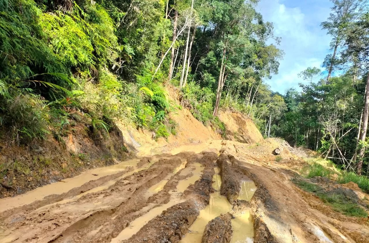 RUSAK PARAH: Sejumlah ruas jalan antarkecamatan di Krayan, Nunukan mengalami kerusakan. FOTO: DOK CAMAT KRAYAN
