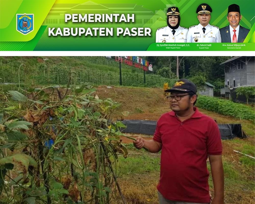 AYO BERTANI: Teguh Wibowo petani hortikultura di Kecamatan Batu Sopang yang sukses menggarap lahannya dari bagian program LPB-PDT YDBA Pama Kide.