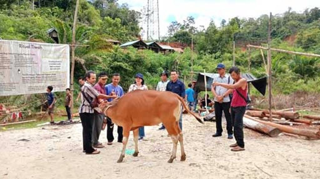 RITUAL TIWAH : Suasana penyerahan bantuan hewan kurban sapi kepada panitia ritual tiwah massal di Desa Tangki Dahuyan, Kecamatan Manuhing, Gumas, Senin (8/7/2024) lalu. DISBUDPAR GUNUNG MAS FOR RADAR