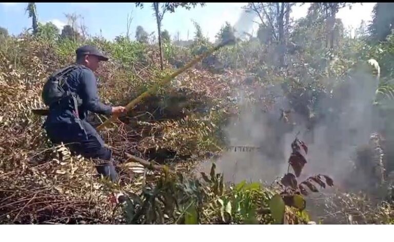 Tim Reaksi Cepat Badan Penanggulangan Bencana Daerah Kobar memadamkan api di Desa Kubu, Kecamatan Kumai, Sabtu (20/7/2024).