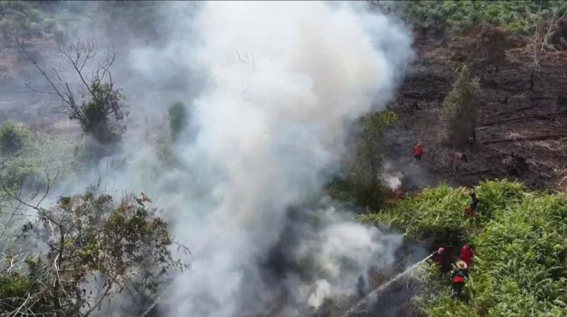 KARHUTLA: Penanganan lanjutan karhutla di Desa Kubu, Kecamatan Kumai, Kabupaten Kobar, yang menghanguskan delapan hektare areal hutan, Senin (22/7/2024). (BPBD/RADAR PANGKALAN BUN)