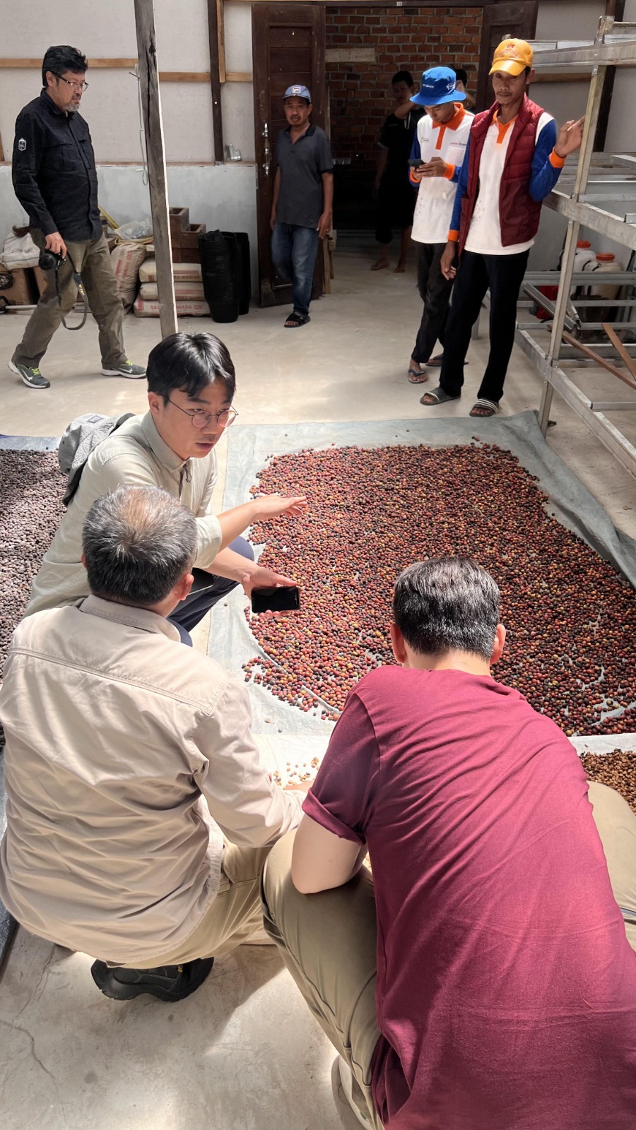 PELUANG: Kunjungan calon investor asal Korea ke IKN, menyempatkan diri melihat produksi Kopi Liberika Sepaku.