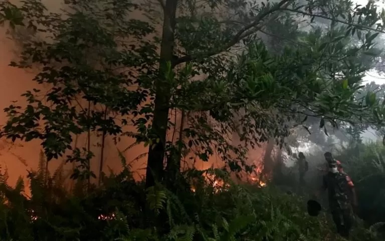 KARHUTLA: Kebakaran hutan dan lahan (karhutla) yang terjadi di Kota Pontianak persis setahun yang lalu.