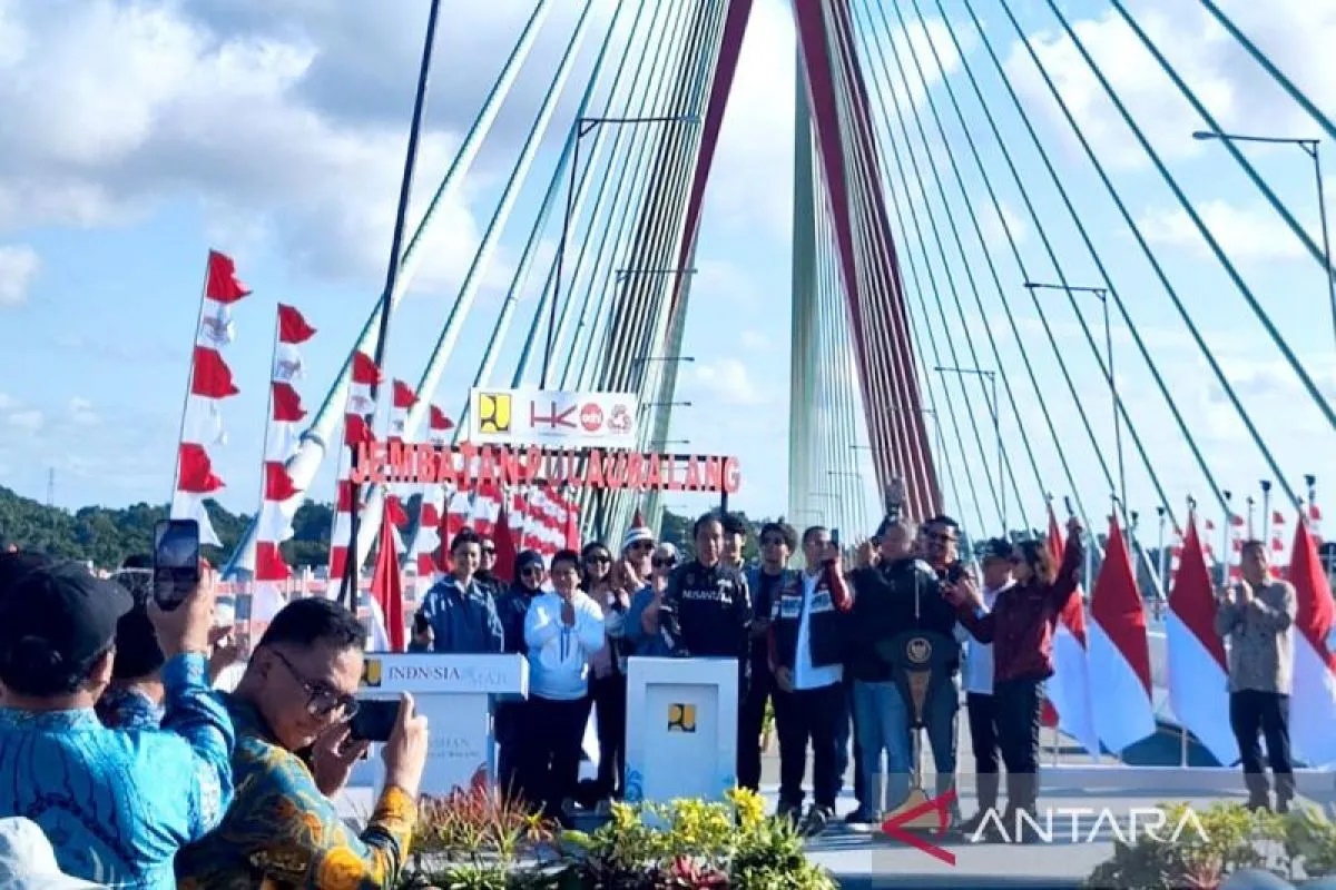 Presiden Joko Widodo (Jokowi) meresmikan Jembatan Pulau Balang di Kabupaten Penajam Paser Utara, Kalimantan Timur, Minggu (28/7/2024). ANTARA/Mentari Dwi Gayati/pri.