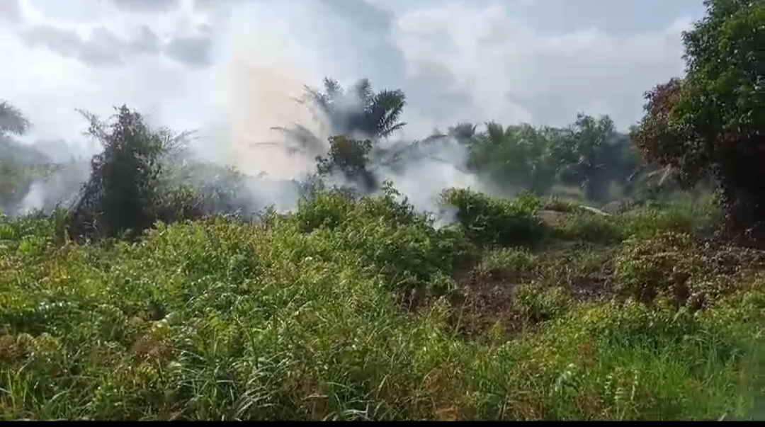 KARHUTLA: Kebakaran di Desa Tanjung Terantang, Kecamatan Arut Selatan, Kabupaten Kobar Minggu (28/7/2024).