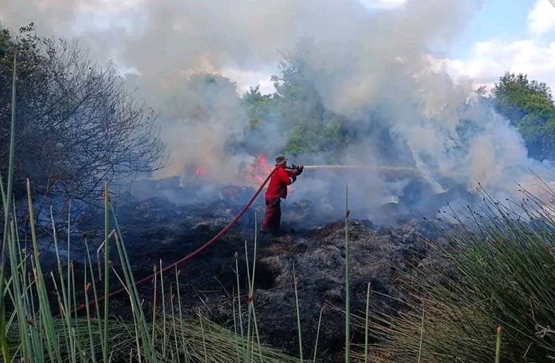 KARHUTLA: Penanganan karhutla oleh BPBD Kabupaten Kotawaringin Barat dan Balakar Huma Singgah Itah belum lama ini.