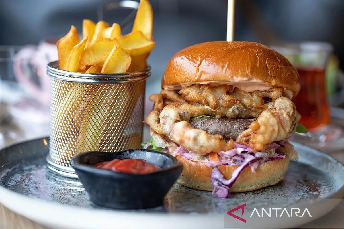 Ilustrasi - Makanan tidak sehat. ANTARA/Pexels/Valeria Boltneva/pri.