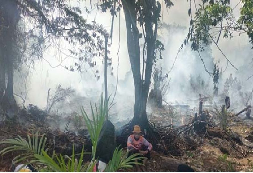 MINIM PERALATAN: Warga berupaya memadamkan api yang membakar lahan warga di Kecamatan Cempaga.