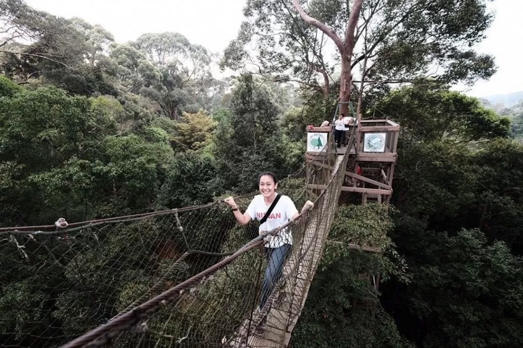 CANOPY BRIDGE:Bukit Bengkirai, salah satu objek wisata yang dipromosikan Dispar Kaltim di sekitar IKN Nusantara, Sepaku, PPU.(FOTO:ISTIMEWA)