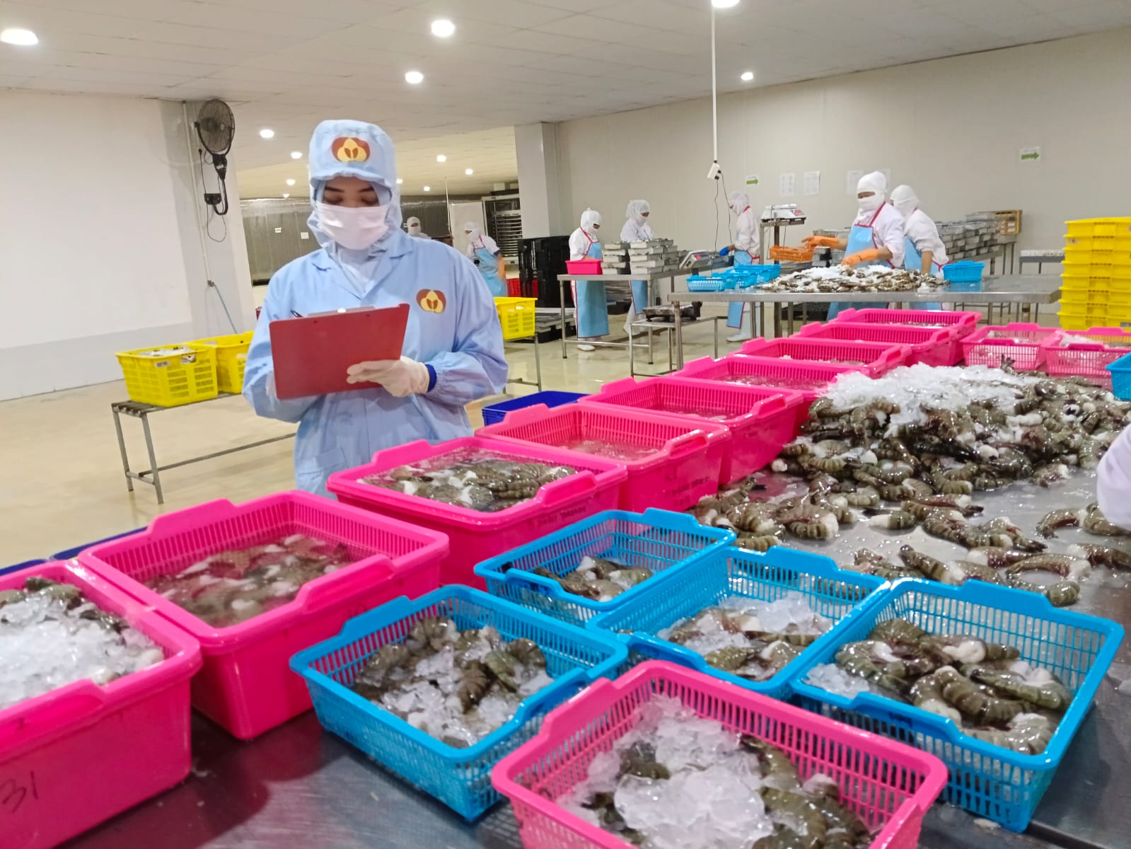 Produk perikanan di Kaltara.