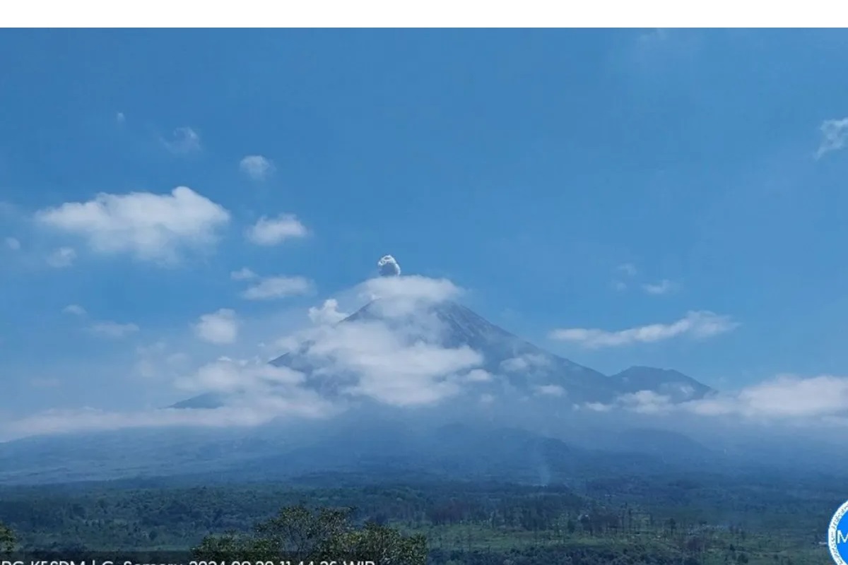 Gunung Semeru erupsi dengan tinggi letusan sekitar 700 meter di atas puncak pada Selasa (20/8/2024). ANTARA/HO-PVMBG